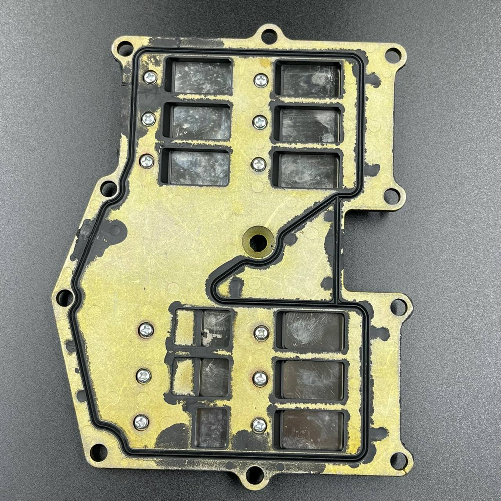 Лепестковый клапан в сборе Suzuki DT40 (Omax)