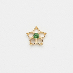 Pinto tops with Precious gem