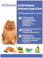 Cухой полнорационный корм для собак мелких пород лосось с рисом Delicana 1,5кг
