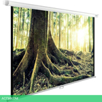 Проекционный экран Cactus WallExpert (CS-PSWE-220x220-WT)