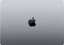 Ноутбук 14" Apple MacBook Pro 2021 M1  (MKGP3RU/A)