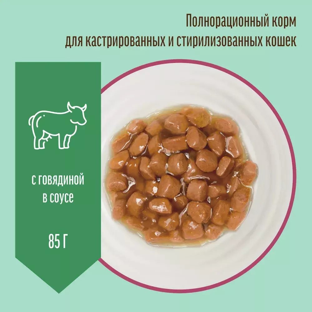 Деревенские лакомства консервы для кастрированных кошек с говядиной (соус) 85 г пакетик (70063088)