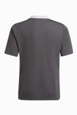 Футболка adidas Entrada 22 Junior