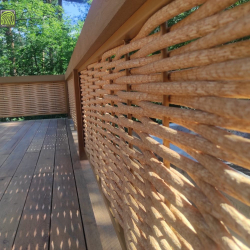 Полимерная лоза