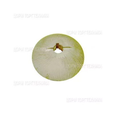 Диск терочный МИП 1.01.02