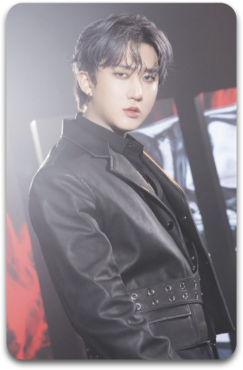 Карта / STRAY KIDS #2282