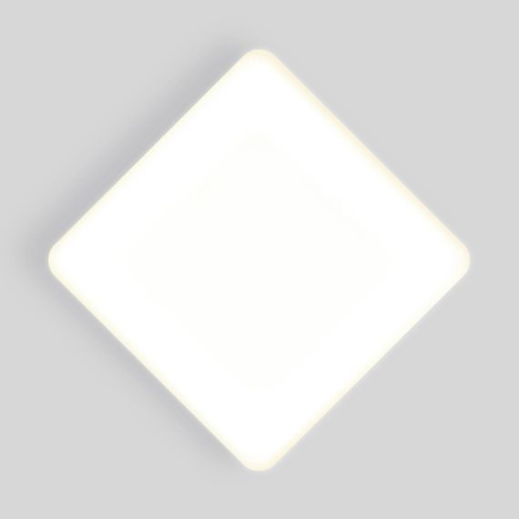 Потолочный светодиодный светильник Elektrostandard DLS043 10W 4200K a047941