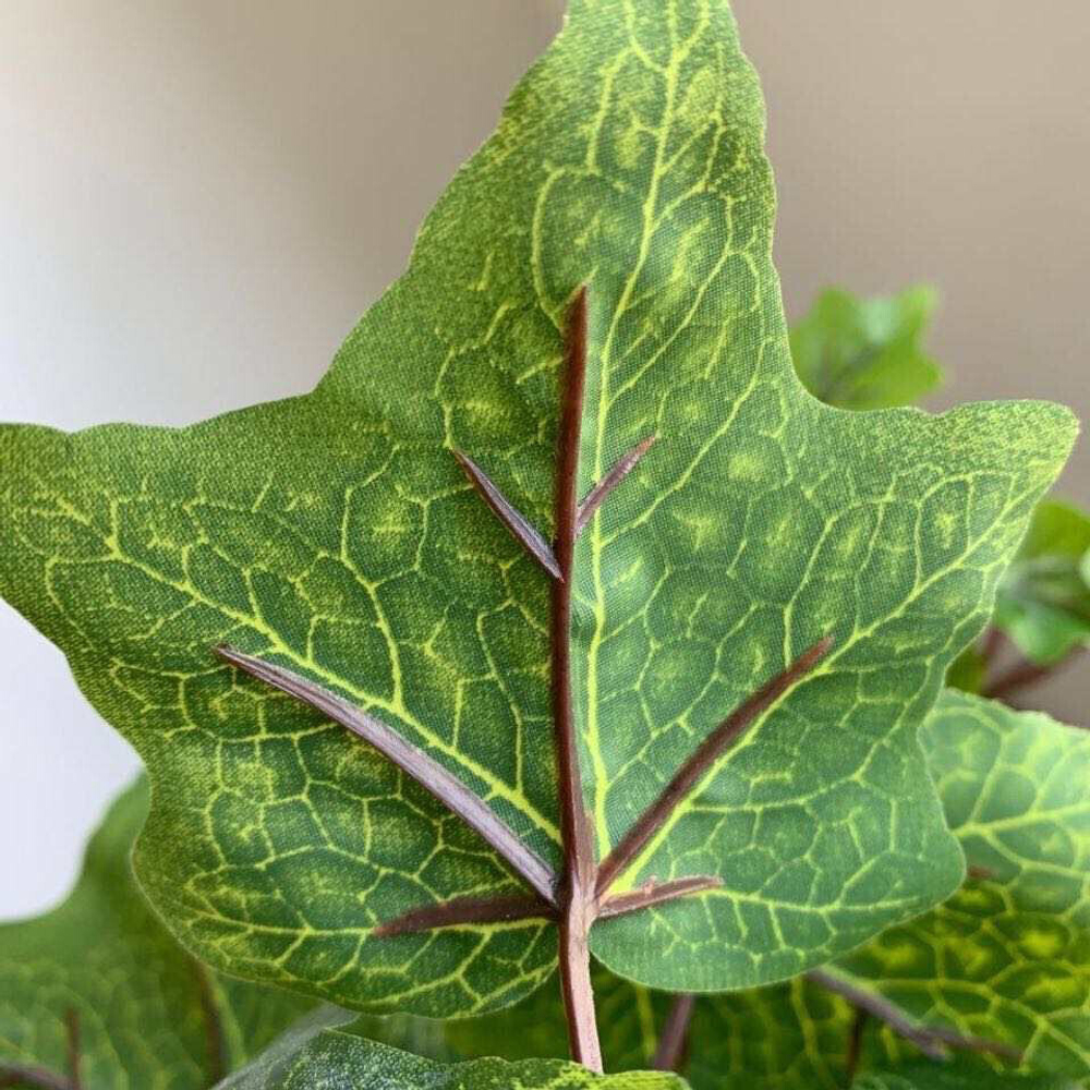 Плющ английский гирлянда 180 см