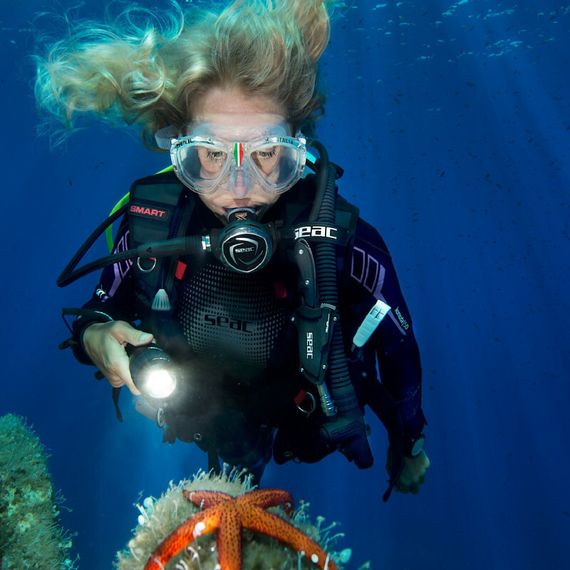 Жилет-компенсатор BCD Seac Smart