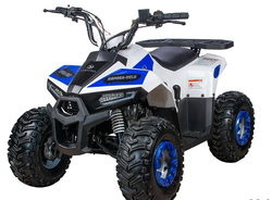 Квадроцикл Yacota Raposa