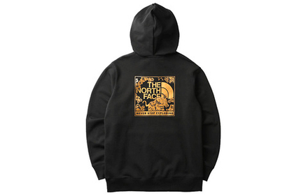Худи THE NORTH FACE Logo, NF0A4UDK-JK3