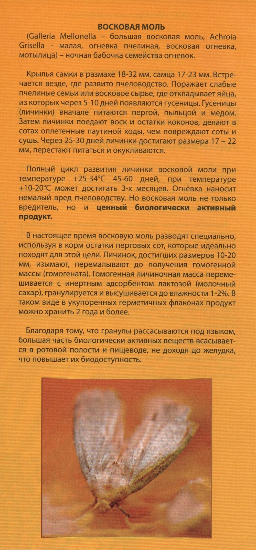 Огневка пчелиная МелМур (гомогенат личинок восковой моли, адсорбированный, сухой) 50гр.