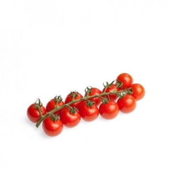 Тестери F1 семена томата индетерминантного (Rijk Zwaan / Райк Цваан)