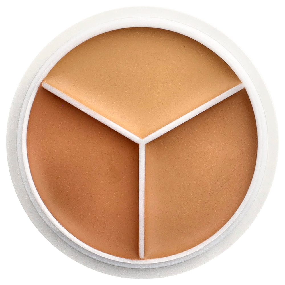 TFIT, Cover Up Pro, консилер, оттенок 04 темный, 15 г (0,52 унции)