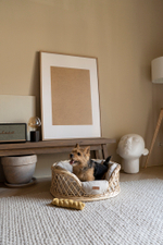 Лежанка из лозы "Пони-Набалкони"