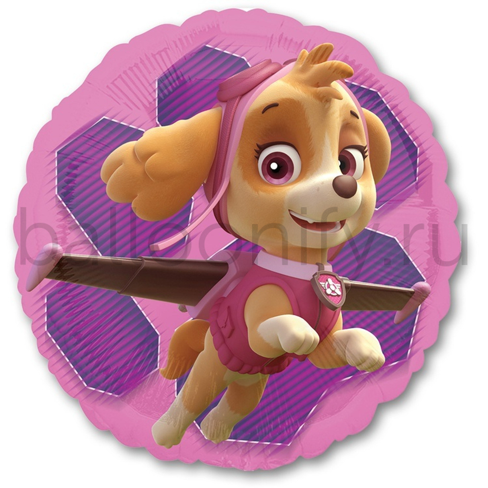 Фольгированная фигура, круг, Щенячий Патруль Скай и Эверест S60,18"/46СМ