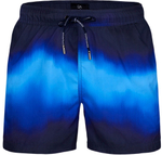 Мужские шорты для плавания Doreanse Patagonya (Размер: M) (Цвет: темно-синий)