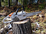 Бензопила Stihl MS 193 С-Е 12' (30см) 1/4&quot; 1.1 64 зв (13 RMS) Сarving