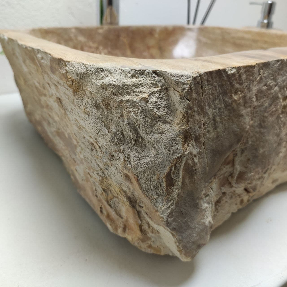 Раковина из окаменелого дерева FossilBasin OD-61259 47*43*17
