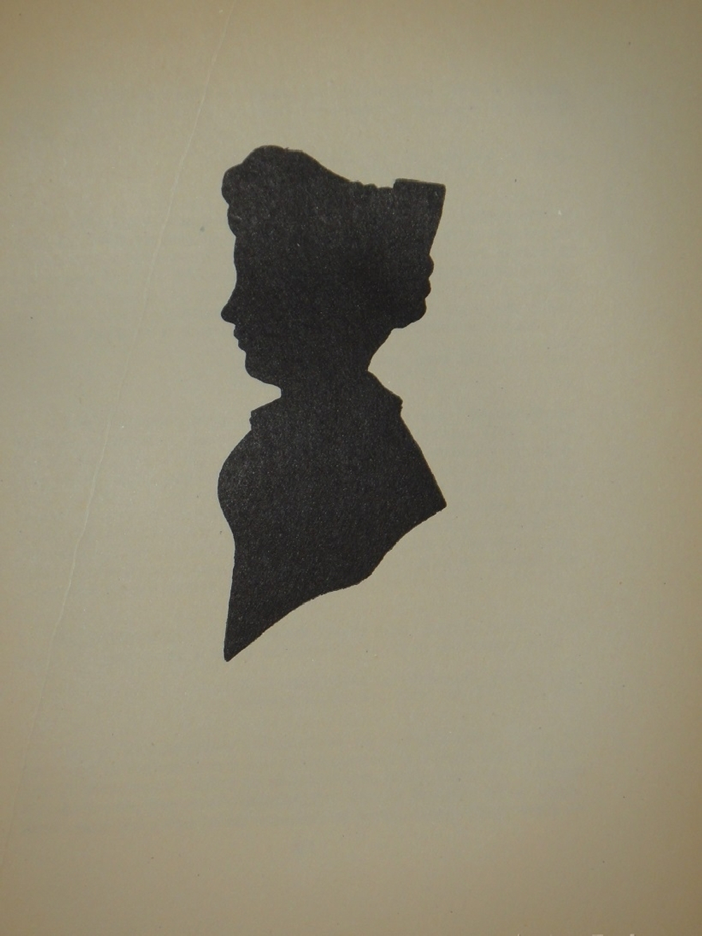 "Пушкин в жизни. Систематический свод подлинных свидетельств современников. В 2-х томах". В.Вересаев. 1936г.