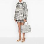 Сумка DIOR Book Tote, M1296ZTDT-M932