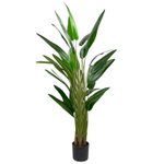 Равенала Тревел 160 см