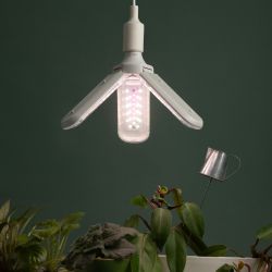 Фитолампа для растений светодиодная ЭРА GREEN LINE ФИТО-30W-PFR-E27-GR 3-х лепестковая полного спектра 30 Вт Е27