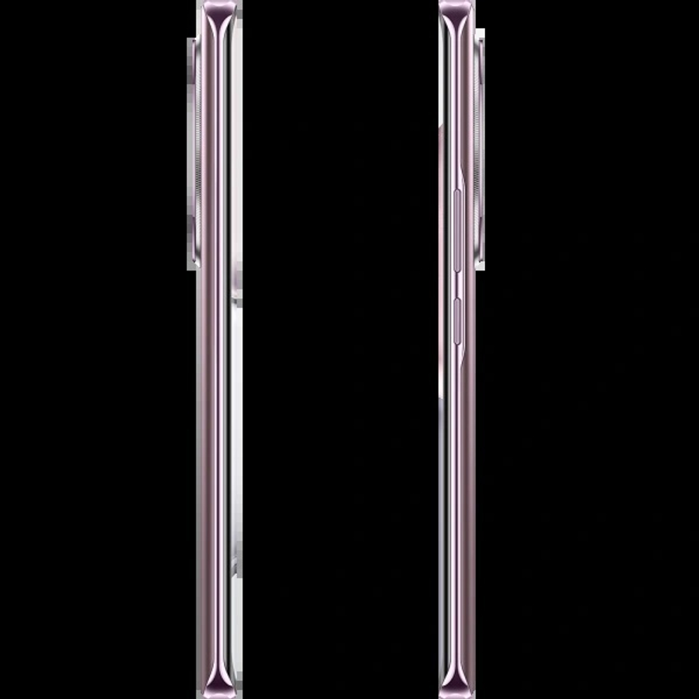 Смартфон Honor X9c 12/256Gb Titanium Purple (BRP-NX1)