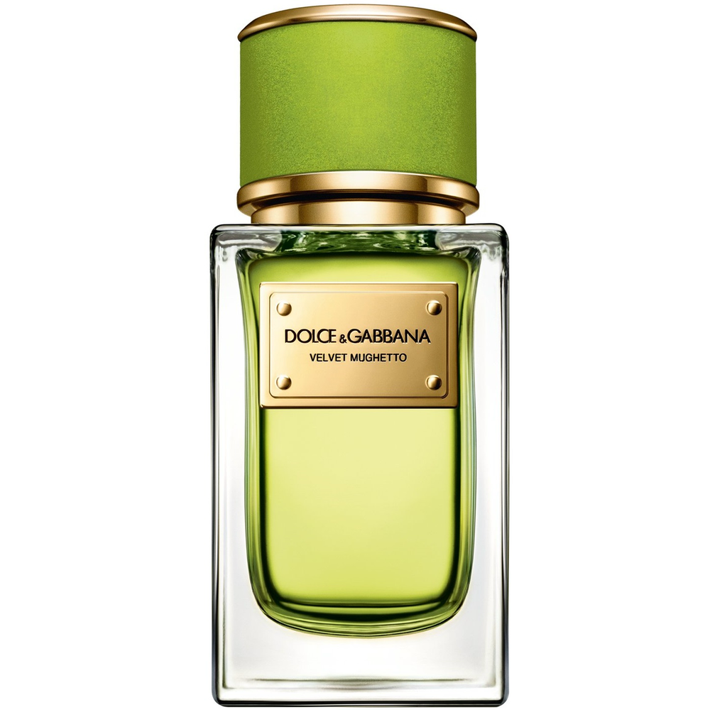 Dolce and Gabbana Velvet Mughetto