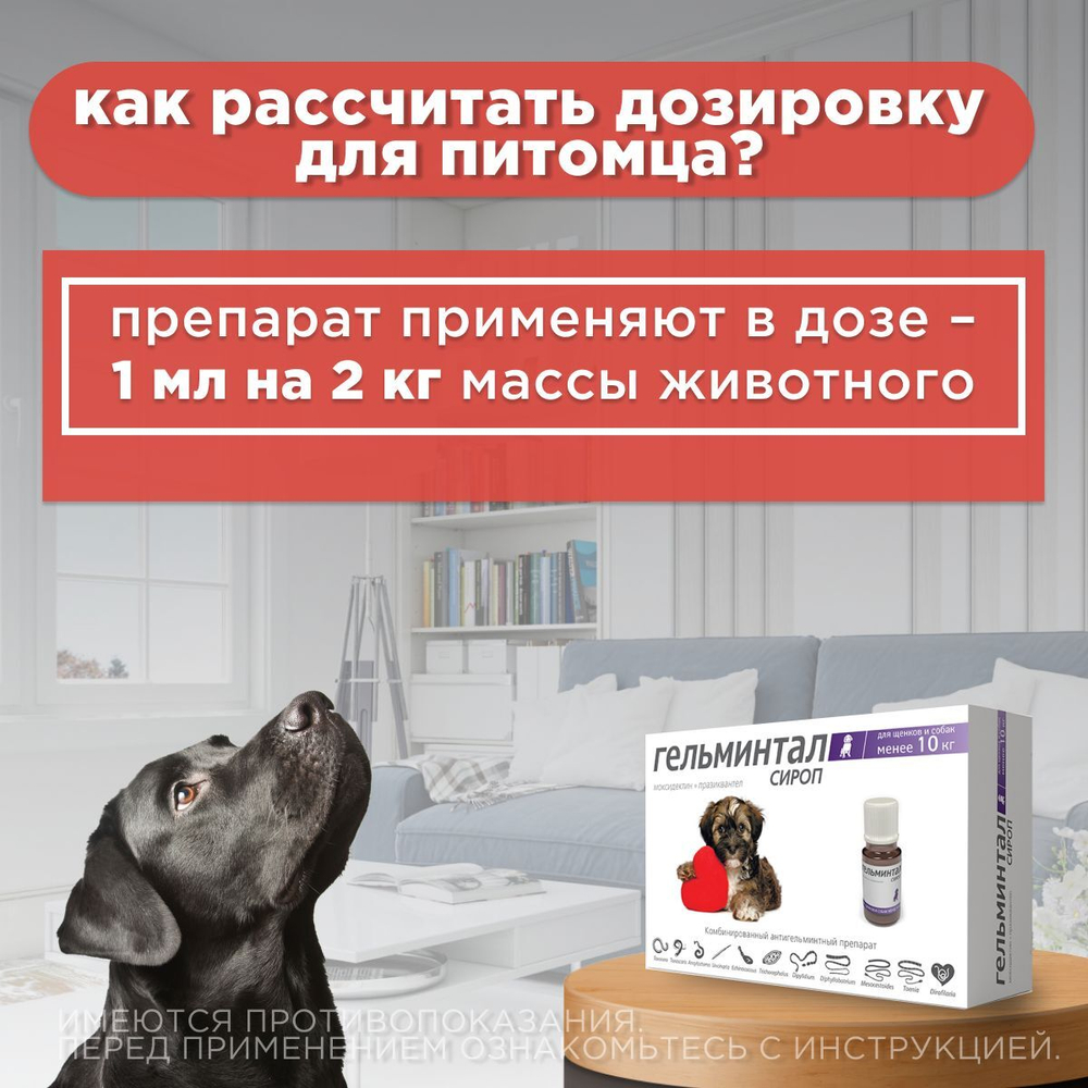 Сироп от гельминтов, профилактика дирофиляриоза для собак менее 10кг Гельминтал (Neoterica), 10мл. Празиквантел/Моксидектин