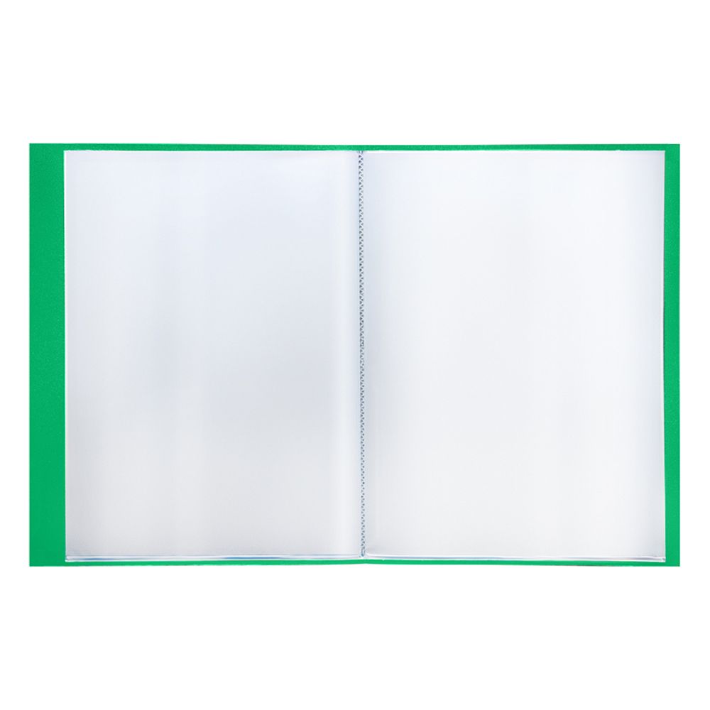 Папка с 60 вкладышами, Berlingo Standart, 700мкм, корешок 21мм с карманом, зелёная