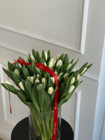 Тюльпаны классика - белый цвет