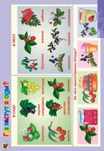 Комплект таблиц Окружающий мир 4-5 лет "Я расту" (11 таблиц+16 карт.)