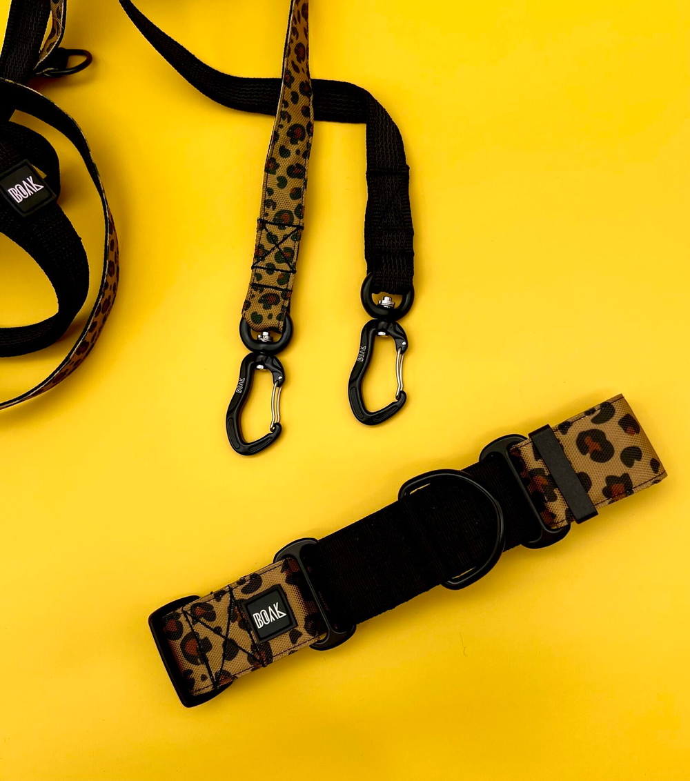 Ошейник Неуловимый леопард