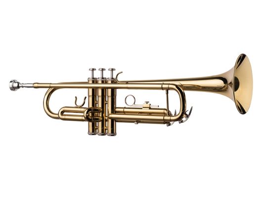 FLT-TR-3 Труба Conductor