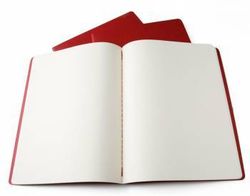 QP423 Блокнот Moleskine CAHIER JOURNAL XLarge 190х250мм