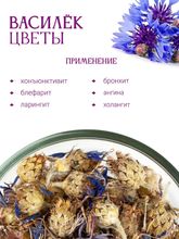 Василек синий