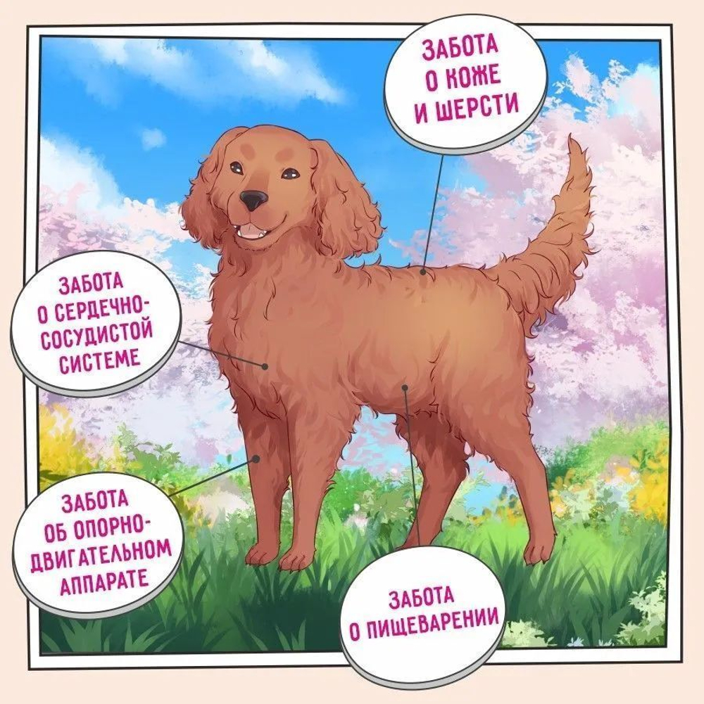 Сухой для собак ZILLII Dog Adult 15кг индейка и ягненок сухой для собак