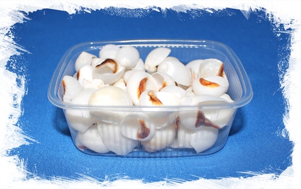 Лунная Белая ракушка с оранжевой полосой