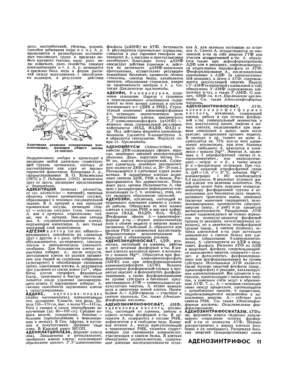 Биологический энциклопедический словарь | М.С. Гиляров