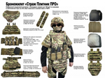 Бронежилет Страж 4М-4М Плитник ПРО (штурмовой)