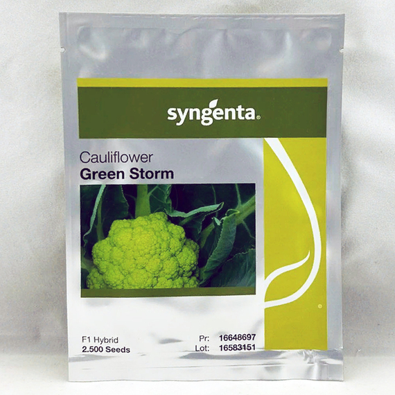 ГРИН ШТОРМ F1 семена капусты цветной (Syngenta | Alexagro) – фото 3