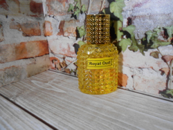 Парфюмерная вода унисекс СвеТLана Mr. Newl Royal Oud 30 ml