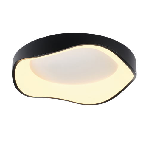 Потолочный светодиодный светильник круглый с пультом MyFar Diona MR9171-CL