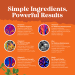 Nature's Craft, мультивитамины, со вкусом апельсина, вишни и клубники, 90 жевательных таблеток