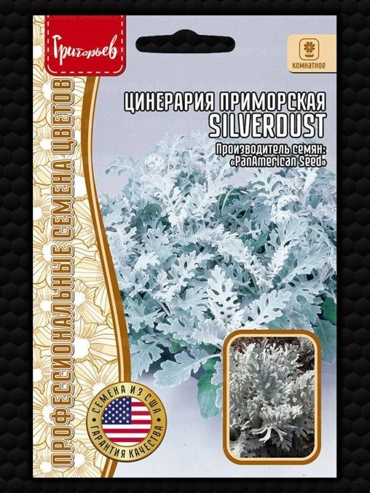 Цинерария Серебряная Пыль приморская Григорьев 