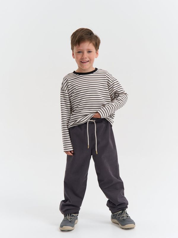 Брюки демисезонные мембранные свободного кроя 