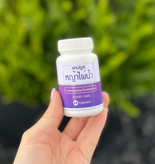 Капсулы Традесканция приречная для заботы о почках Tradescantea Fluminensis Kidney Care Panya Brand