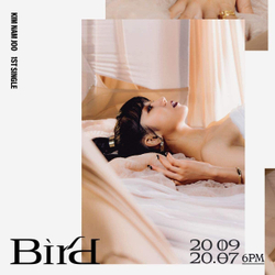 Альбом Kim Namjoo (Apink) - Bird 1st Single Album