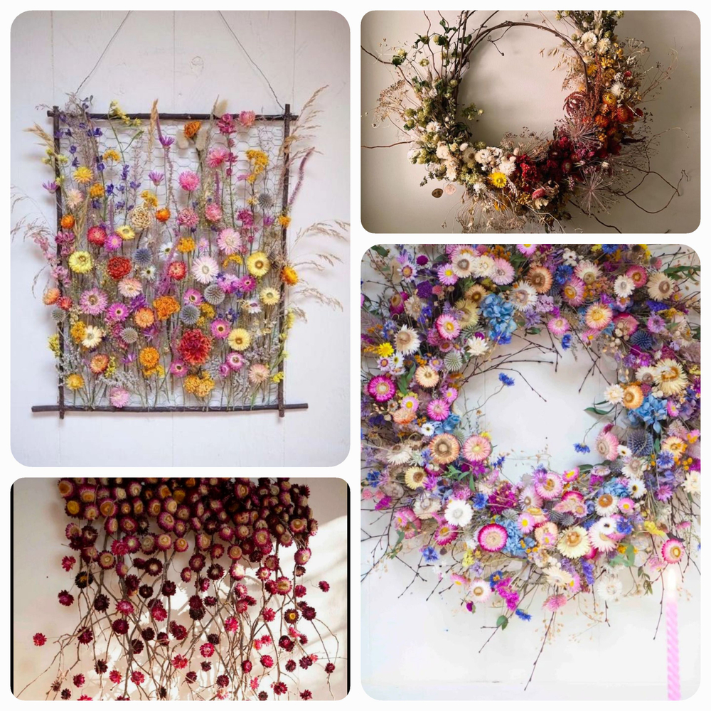 Весенний клуб  "Ботаника. Контраст". Пасма/набор из мини пасм